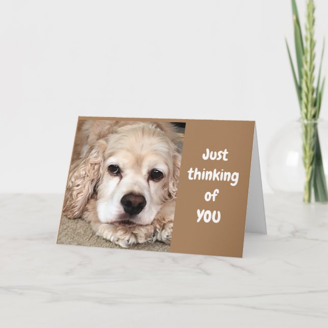 TARJETA COCKER SPANIEL DICE "TENGA EL MEJOR CUMPLEAÑOS JAM (Anverso)