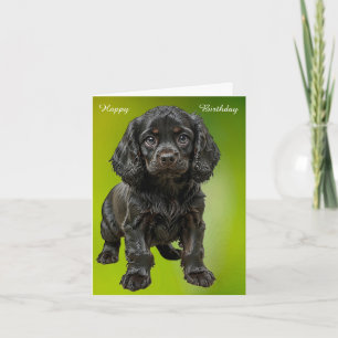 Tarjeta Cocker Spaniel inglés