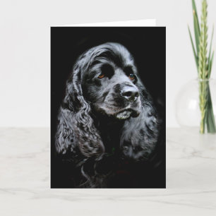 Tarjeta Cocker spaniel negro