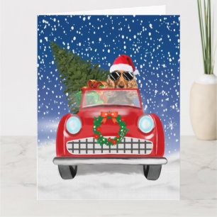 Tarjeta Cocker Spaniel Perro Conduciendo Coche En Navidad