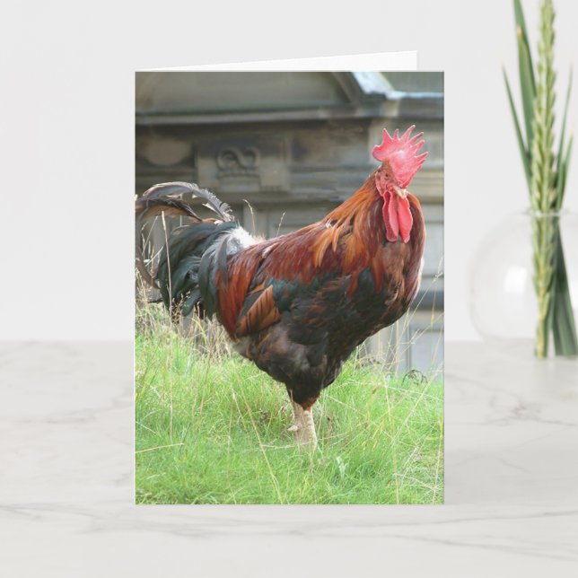 Tarjeta Cockrel (Anverso)