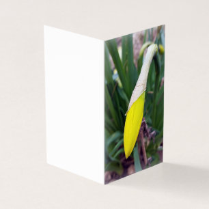 Tarjeta cocodrilo amarillo