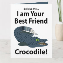 Cocodrilo Caimán Crocodrilo Divertido