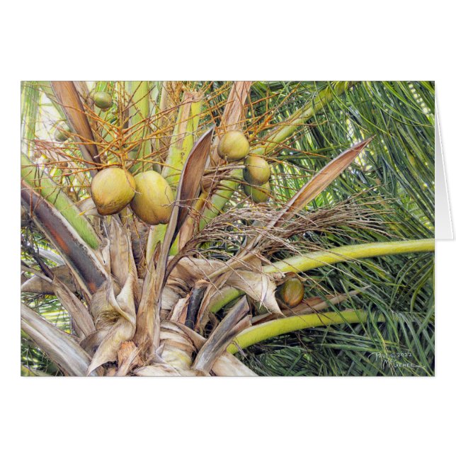 Tarjeta "Coconuts" Paul McGehee (Anverso (Horizontal))
