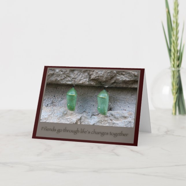 Tarjeta Cocoons de mariposa de amigos (Anverso)