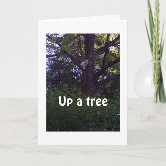 TARJETA COGER UN ÁRBOL DESEANDO NO TENER UN AÑO DE EDAD (Anverso)