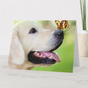 Tarjeta Cojín decorativo De Labrador Y Mariposa