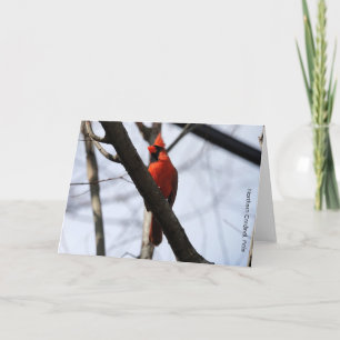 Tarjeta Colección de aves: cardenal norte (notas en blanco
