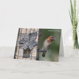 Tarjeta Colección de aves: Finca de especias (notas en bla