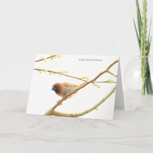 Tarjeta Colección de aves: Finca de especias (notas en bla (Anverso)