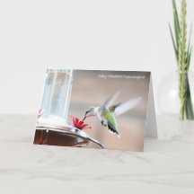 Colección de aves: Hummingbird (notas en blanco)