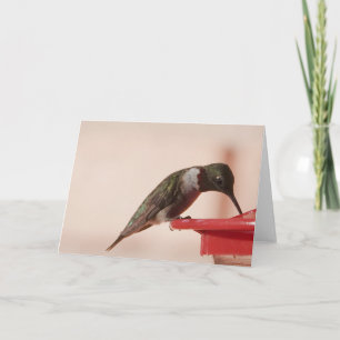 Tarjeta Colección de aves: Hummingbird (notas en blanco)