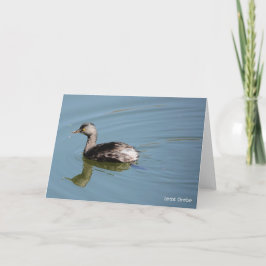 Tarjeta Colección de aves: menos verde (notas en blanco)
