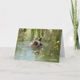 Tarjeta Colección de aves: menos verde (notas en blanco)