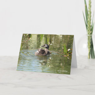 Tarjeta Colección de aves: menos verde (notas en blanco)
