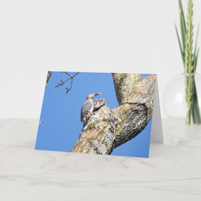 Tarjeta Colección de aves: Woodpecker (notas en blanco) (Anverso)