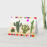 Colección de cactus de Llamarama