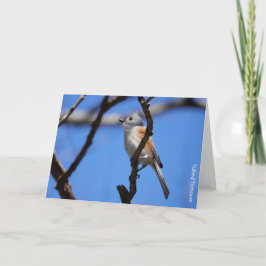 Tarjeta Colección de pájaros: Tufted Titmouse (notas en bl
