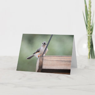 Tarjeta Colección de pájaros: Tufted Titmouse (notas en bl