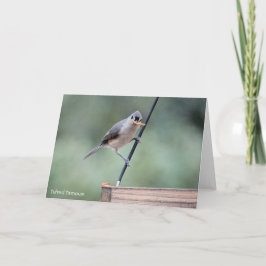 Tarjeta Colección de pájaros: Tufted Titmouse (notas en bl