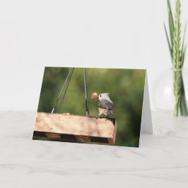 Tarjeta Colección de pájaros: Tufted Titmouse (notas en bl