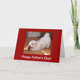 Tarjeta Colección del Día del Padre