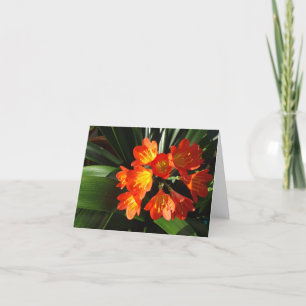Tarjeta Colección floral del notecard de Nueva Inglaterra