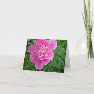 Tarjeta colección floral del notecard del peonie rosado