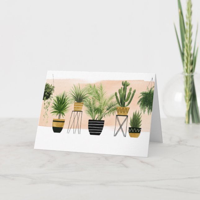 Tarjeta Colección interior del oasis (Anverso)