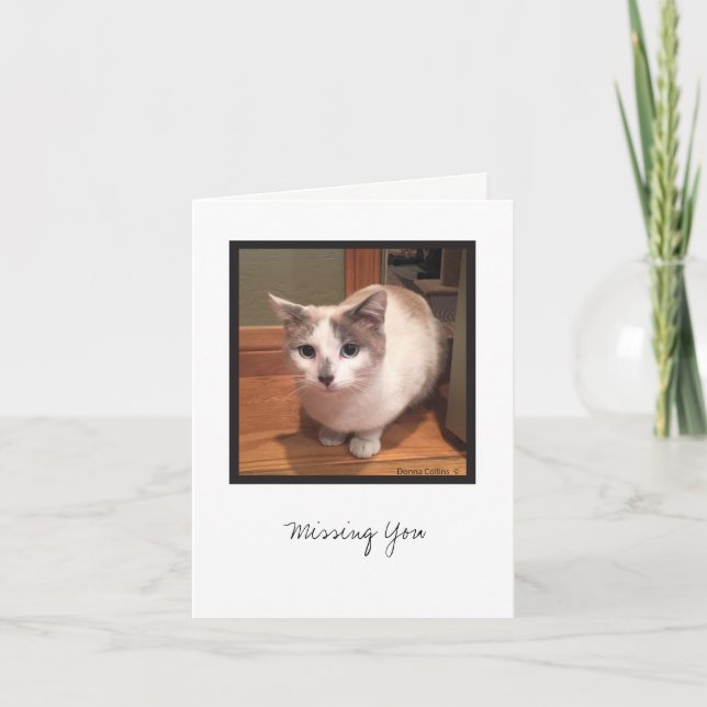 Tarjeta Colección Kit #1 (Anverso)