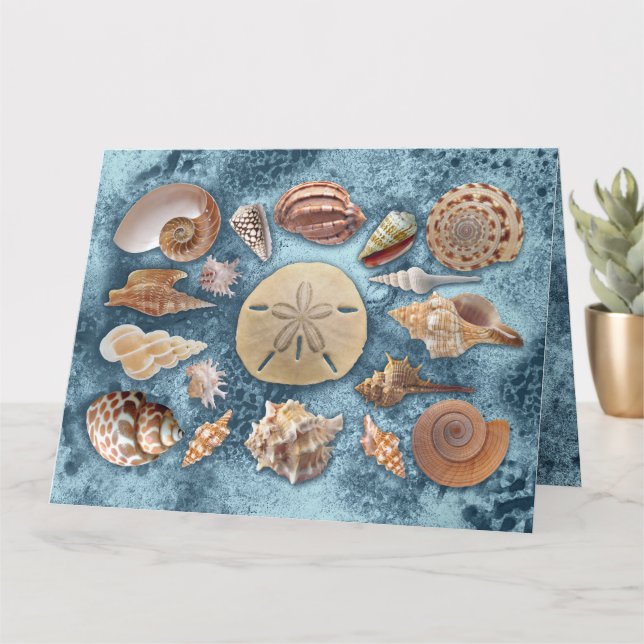 Tarjeta Colección Seashells (Planta pequeña)