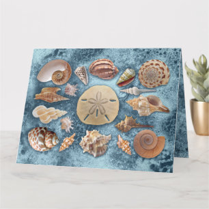 Tarjeta Colección Seashells