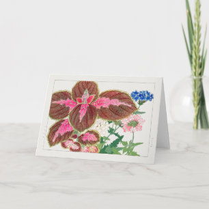Tarjeta Coleus, Verbena, por Tanigami Konan