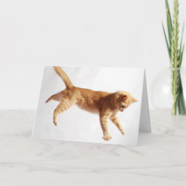 Tarjeta Colgando ahí