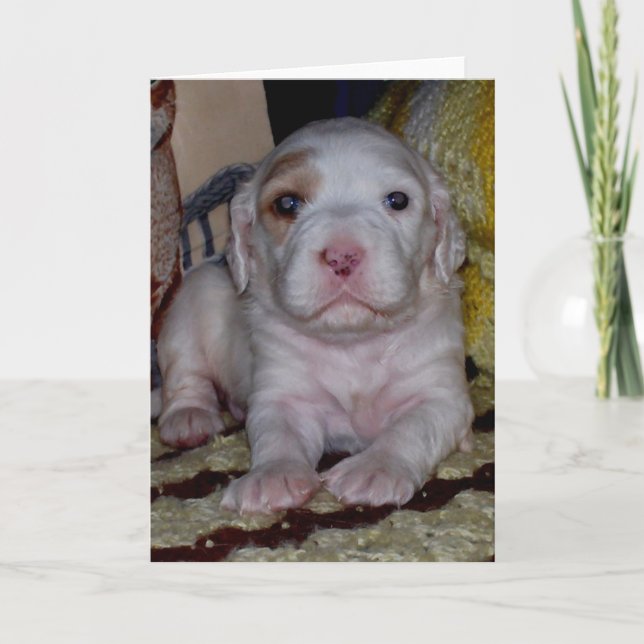 Tarjeta Colgante de inglés (Anverso)