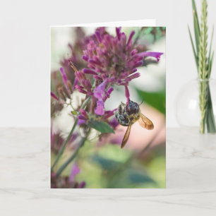 Tarjeta Colgante sobre la menta del colibrí