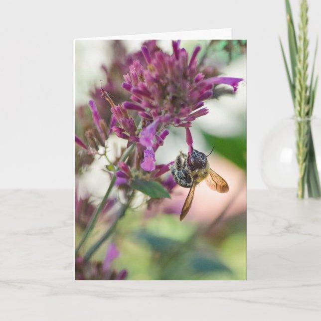 Tarjeta Colgar sobre la Fábrica de Peces de Hummingbird (Anverso)