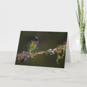 Tarjeta Colibrí