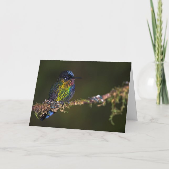 Tarjeta Colibrí (Anverso)