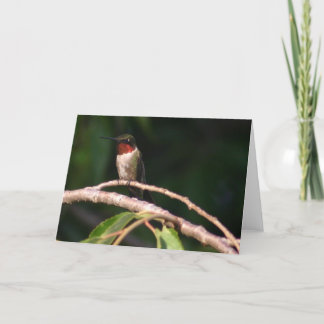 Tarjeta Colibrí