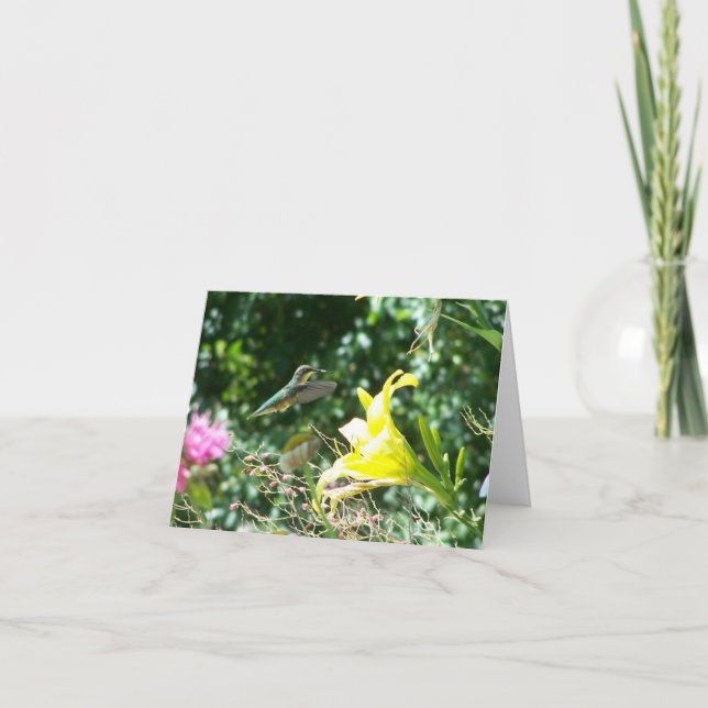 Tarjeta Colibrí 5 (Anverso)