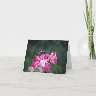 Tarjeta Colibrí con azucenas de belladona