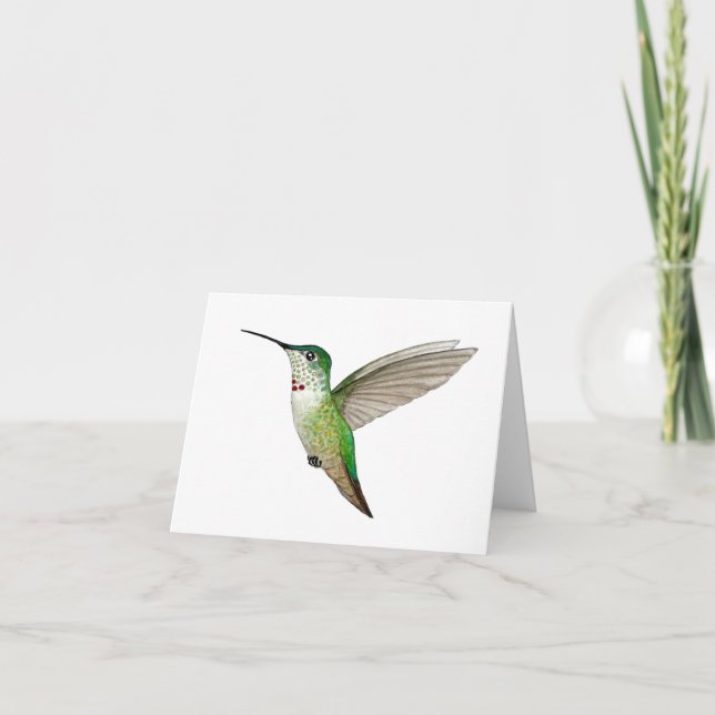 Tarjeta Colibrí de Anna (Anverso)