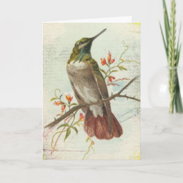 Tarjeta Colibrí de época, cumpleaños