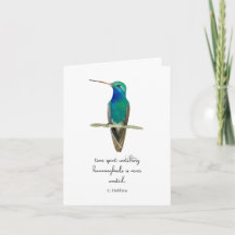 Colibrí de pico ancho