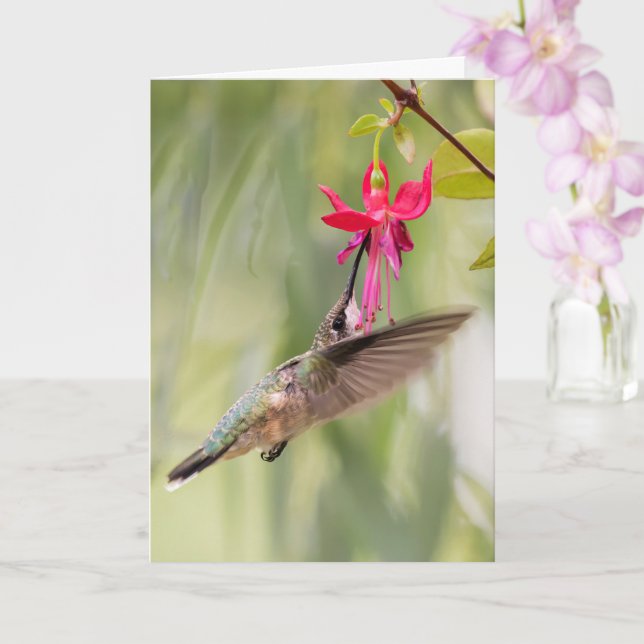 Tarjeta Colibrí favorita de Fuchsia (Orquídea)