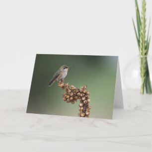 Tarjeta Colibrí Naranja pequeño