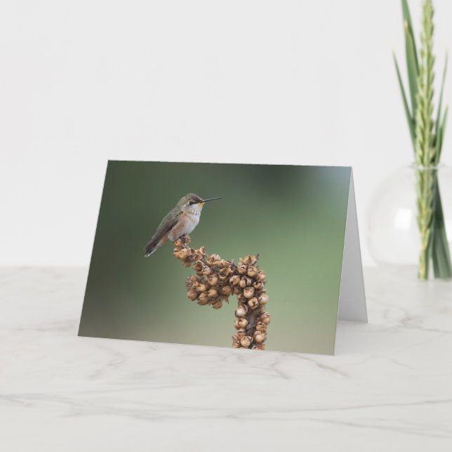 Tarjeta Colibrí Naranja pequeño (Anverso)