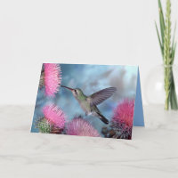 Colibrí para todas las ocasiones