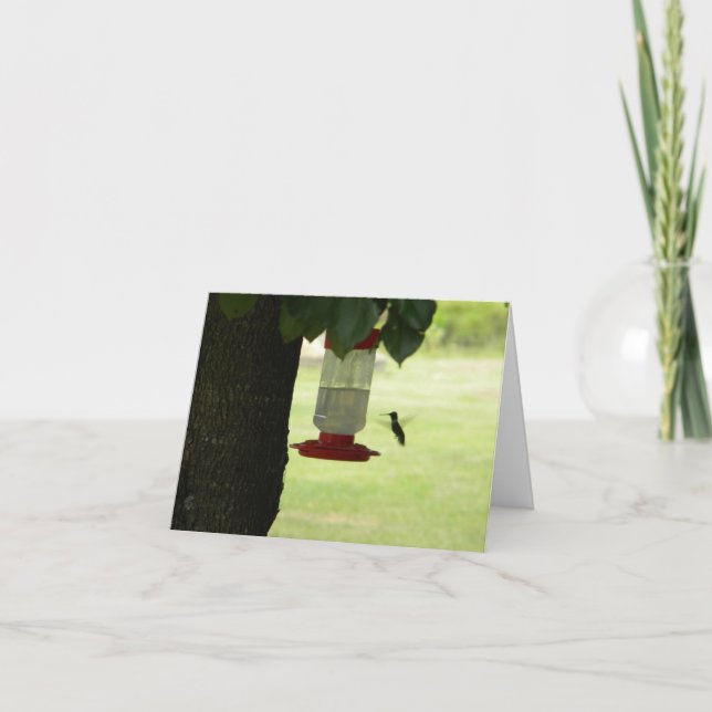 Tarjeta Colibrí solitario (Anverso)